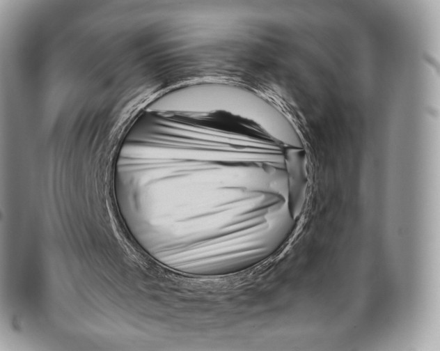 X0000096400001200802141529