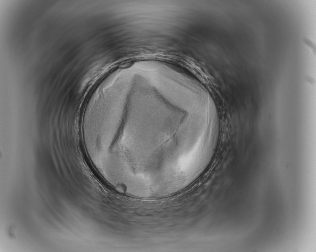 X0000096400002200802141529