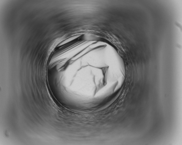 X0000096400003200802141529