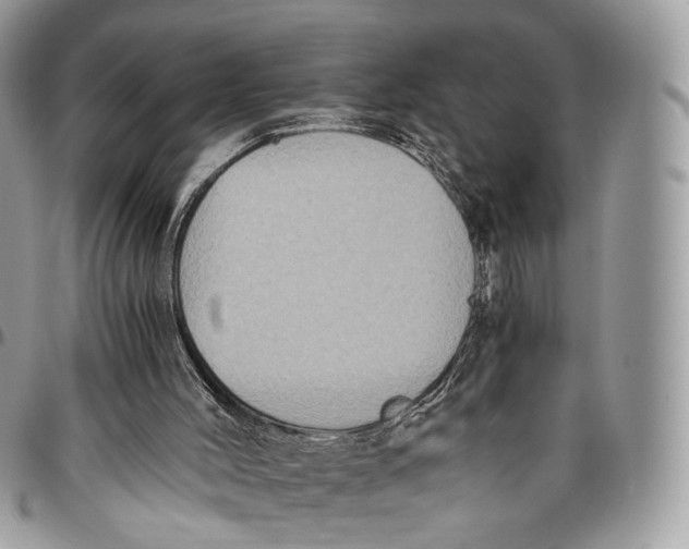 X0000096400004200802141529