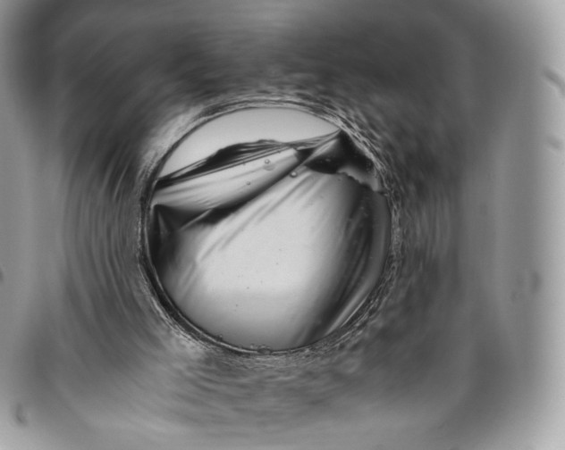 X0000096400005200802141529