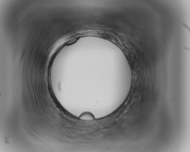 X0000096400006200802141529