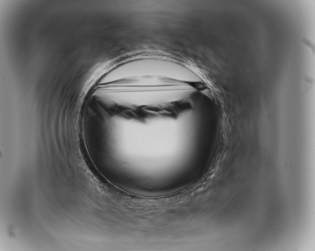 X0000096400007200802141529