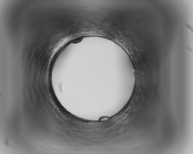 X0000096400008200802141529