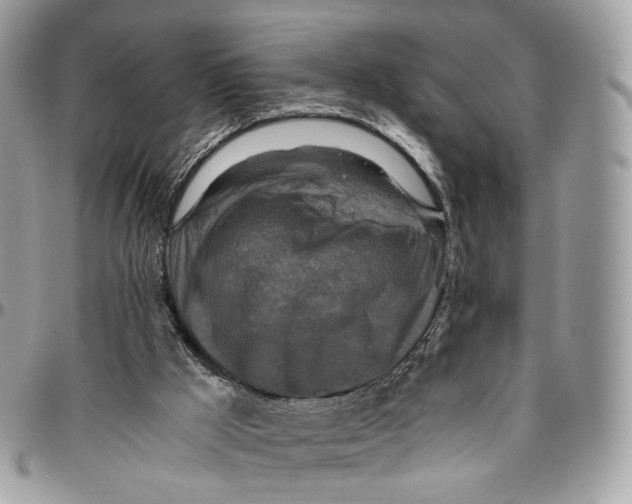 X0000096400009200802141529