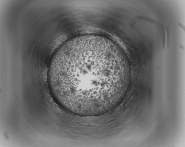 X0000096400010200802141529