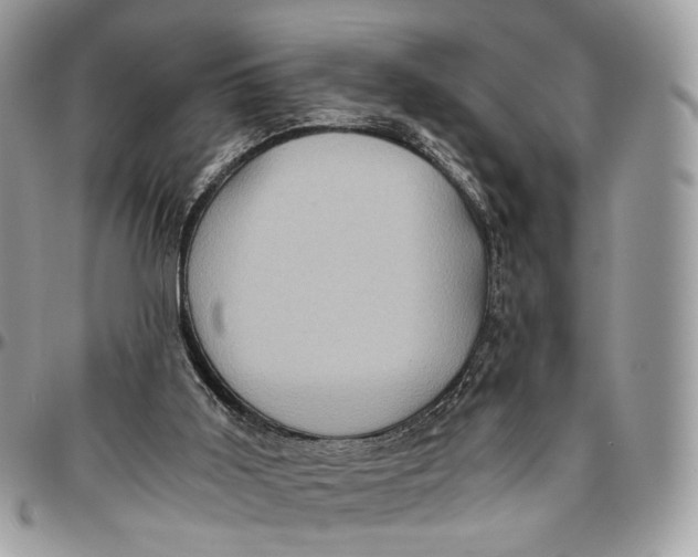 X0000096400011200802141529