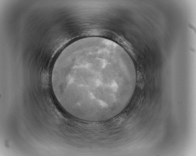 X0000096400012200802141529