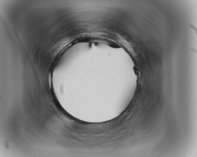 X0000096400013200802141529