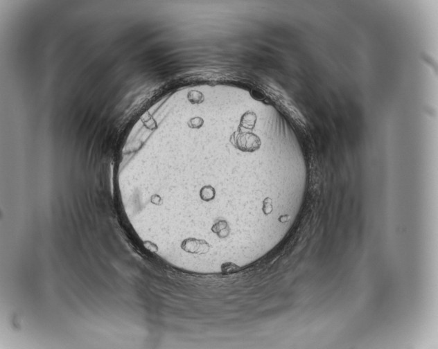 X0000096400014200802141529