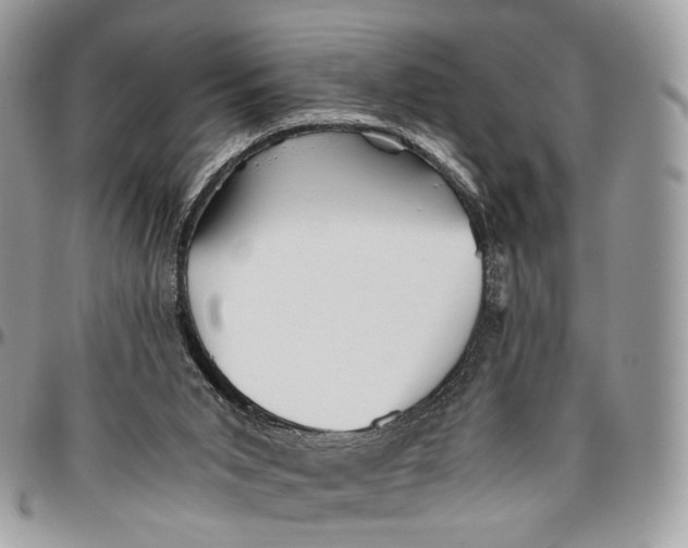 X0000096400015200802141529