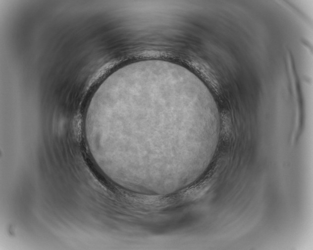 X0000096400016200802141529