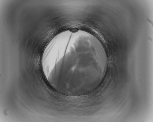 X0000096400018200802141528