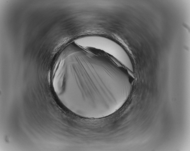 X0000096400019200802141528