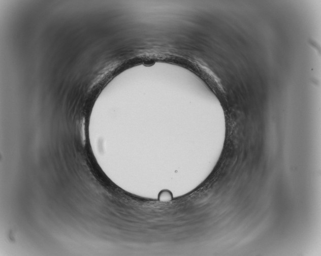 X0000096400020200802141528