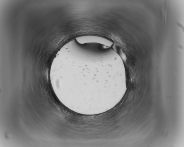 X0000096400021200802141528