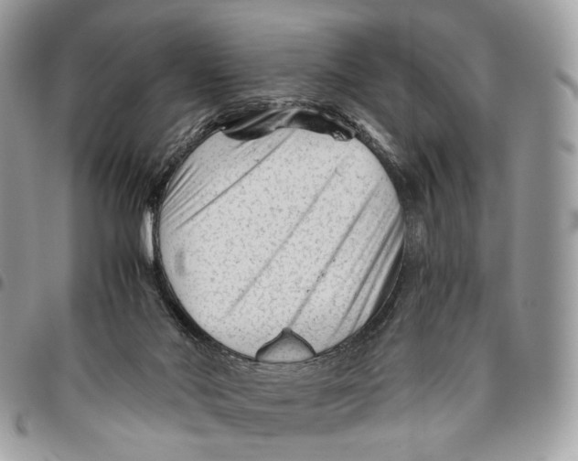 X0000096400022200802141528