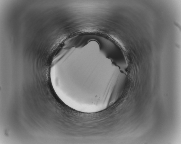 X0000096400023200802141528