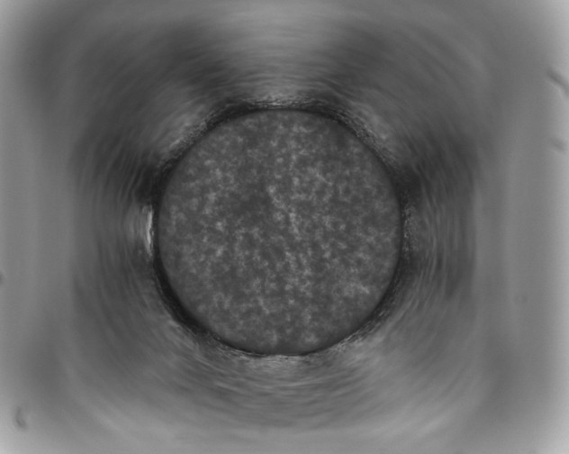 X0000096400024200802141528