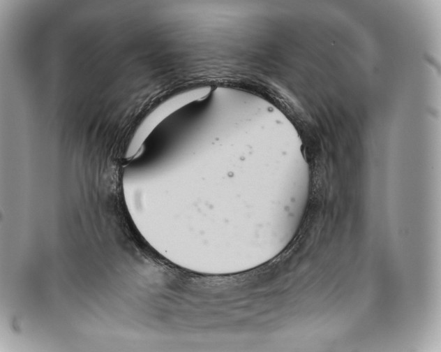 X0000096400025200802141528