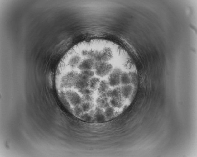 X0000096400026200802141528