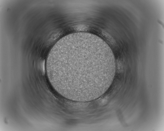 X0000096400028200802141528