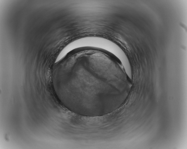 X0000096400029200802141528