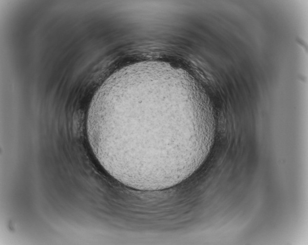 X0000096400030200802141528