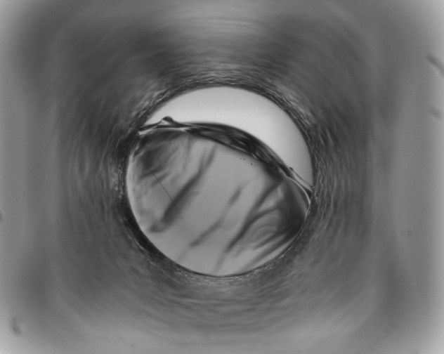 X0000096400031200802141528