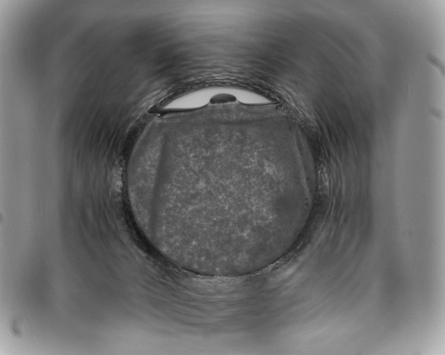 X0000096400032200802141528