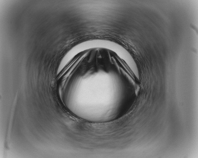 X0000096400033200802141528