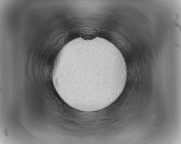 X0000096400034200802141528