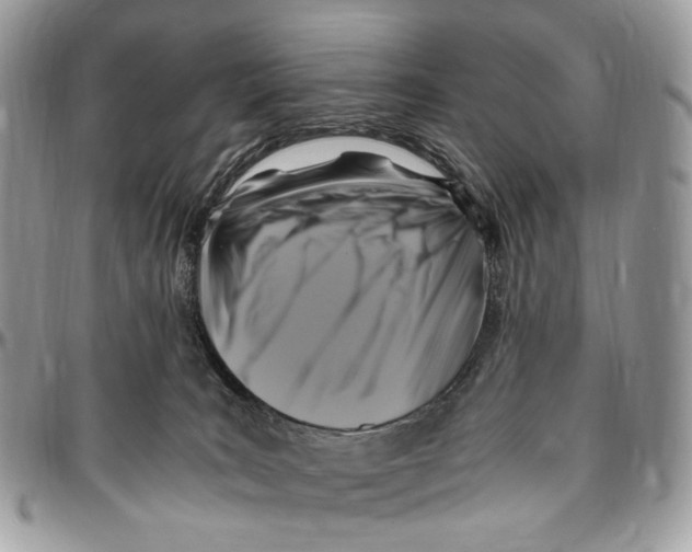 X0000096400035200802141528