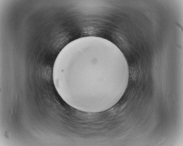 X0000096400036200802141528