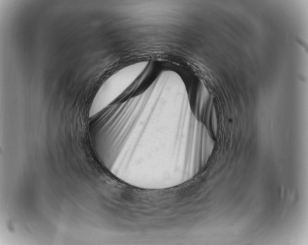 X0000096400037200802141528