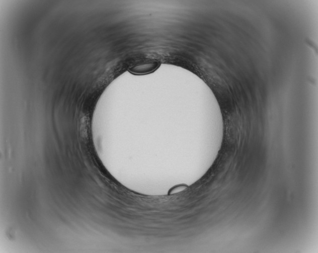 X0000096400038200802141528