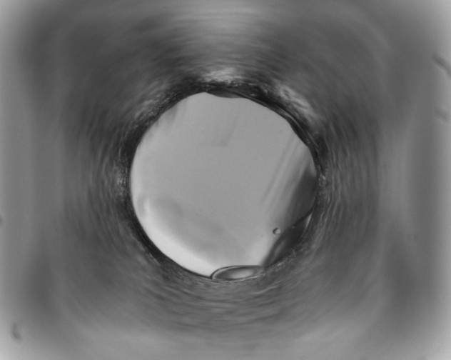 X0000096400039200802141528