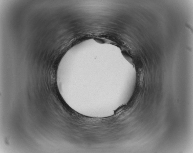 X0000096400040200802141528