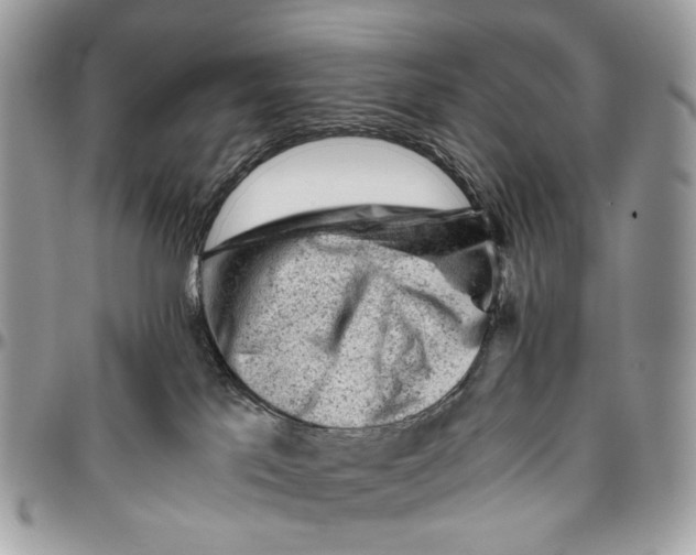 X0000096400041200802141528