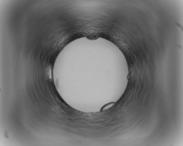 X0000096400042200802141528