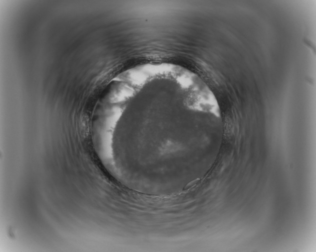 X0000096400043200802141528