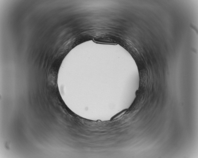 X0000096400044200802141528