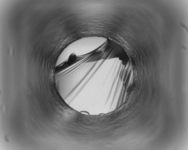 X0000096400045200802141528