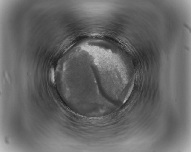 X0000096400046200802141528