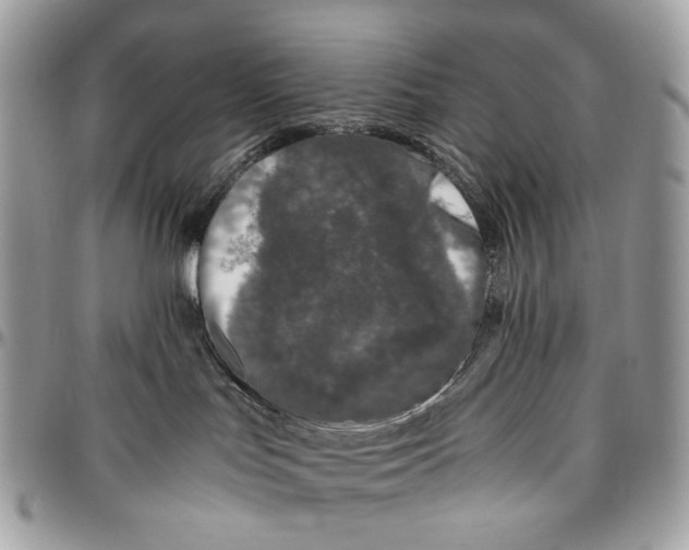 X0000096400047200802141528