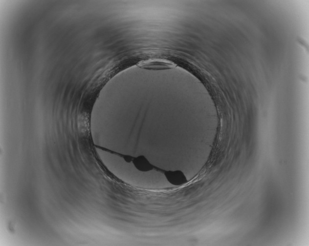 X0000096400048200802141528