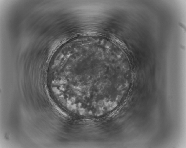 X0000096400049200802141527