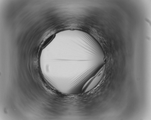 X0000096400050200802141527