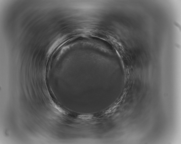 X0000096400051200802141527