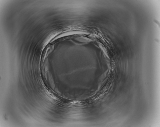 X0000096400052200802141527